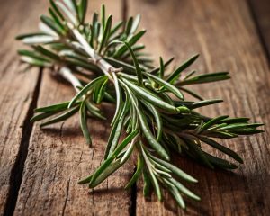 Ramita del aceite esencial de romero, ideal para aliviar el estrés, mejorar la concentración y revitalizar la mente. Perfecto para aromaterapia y masajes.