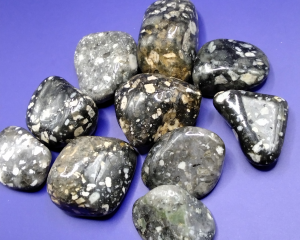 Piedras pulidas de Gallina de Guinea con patrones moteados en tonos negros y blancos, ideales para meditación, decoración y protección energética.
