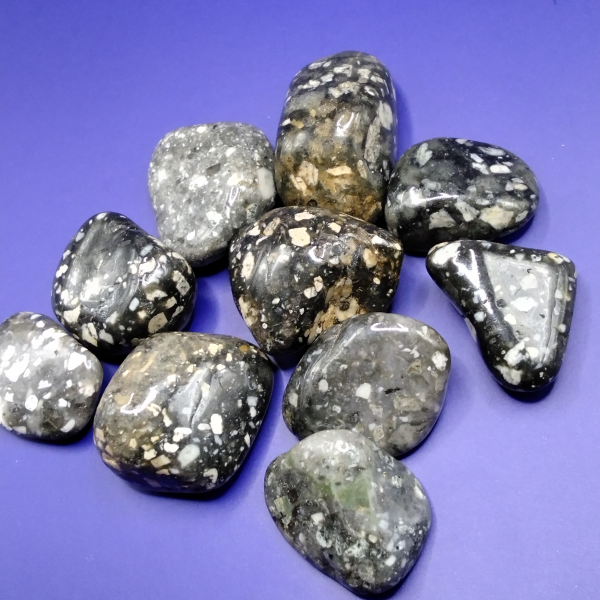 Piedras pulidas de Gallina de Guinea con patrones moteados en tonos negros y blancos, ideales para meditación, decoración y protección energética.