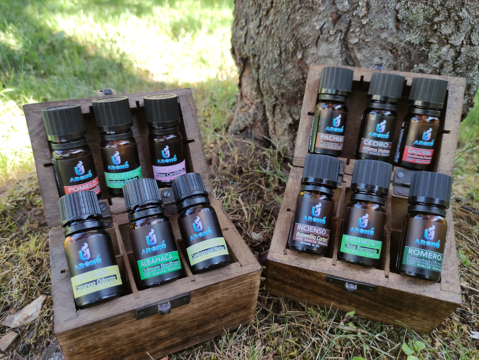 Cajas de madera con aceites esenciales de Aromu dispuestas sobre césped al aire libre, mostrando una colección de 12 frascos con esencias puras y etiquetadas.