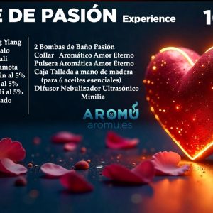 Noche de Pasión Experience